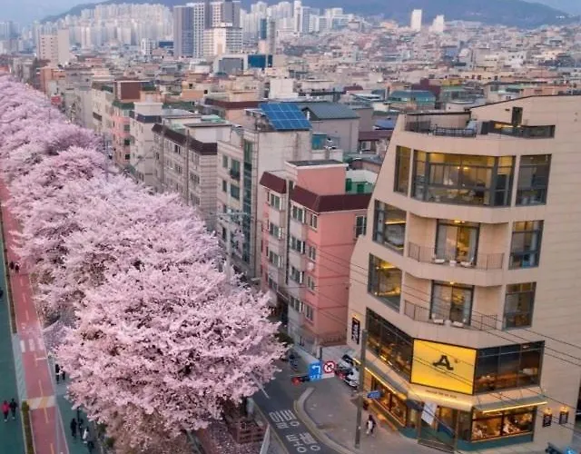 홍대#dmc역#커플,가족,단체여행#프라이빗 감성숙소#villa De Ellie * Seoel